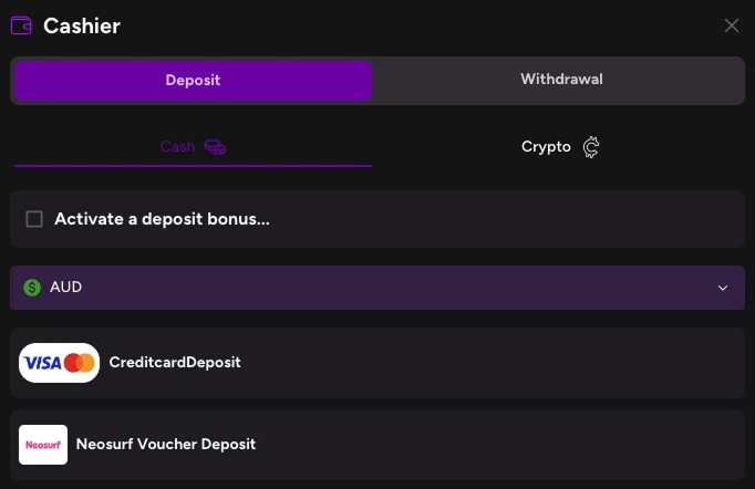 Casiny payments cashier preview